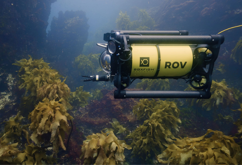 ROV/AUV